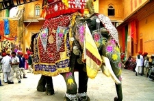 Как организовать свой отдых в Индии