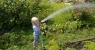 Как часто поливать растения