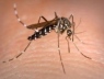 Как выбрать средство от комаров